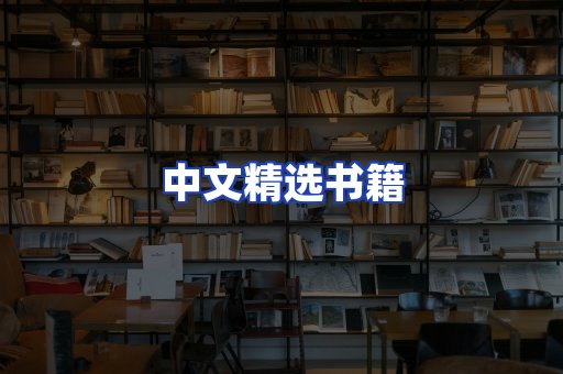中文精选书籍